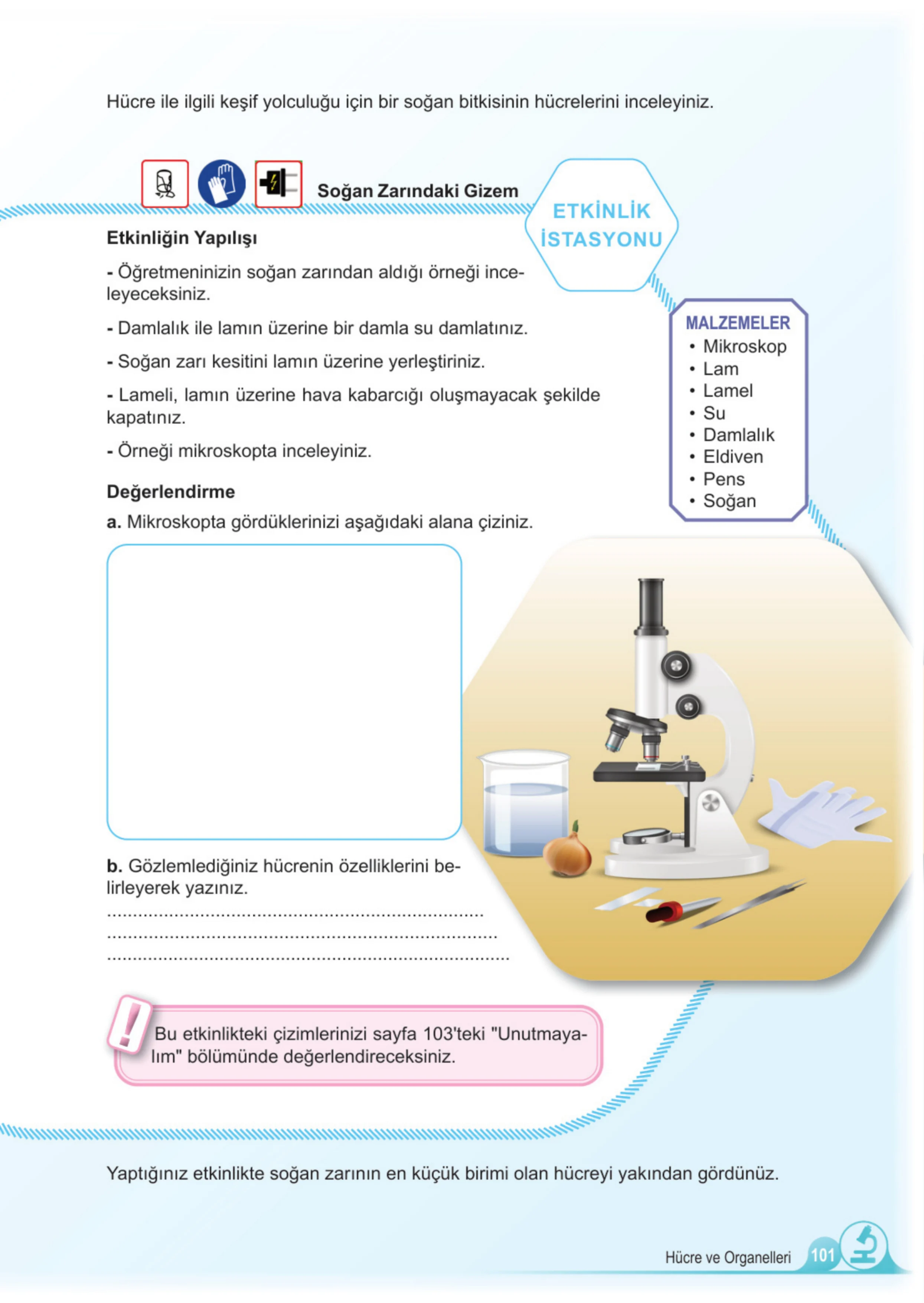 5. Sınıf Fen Bilimleri Ders Kitabı Cevapları Meb Yayınları 1. Kitap Sayfa 101
