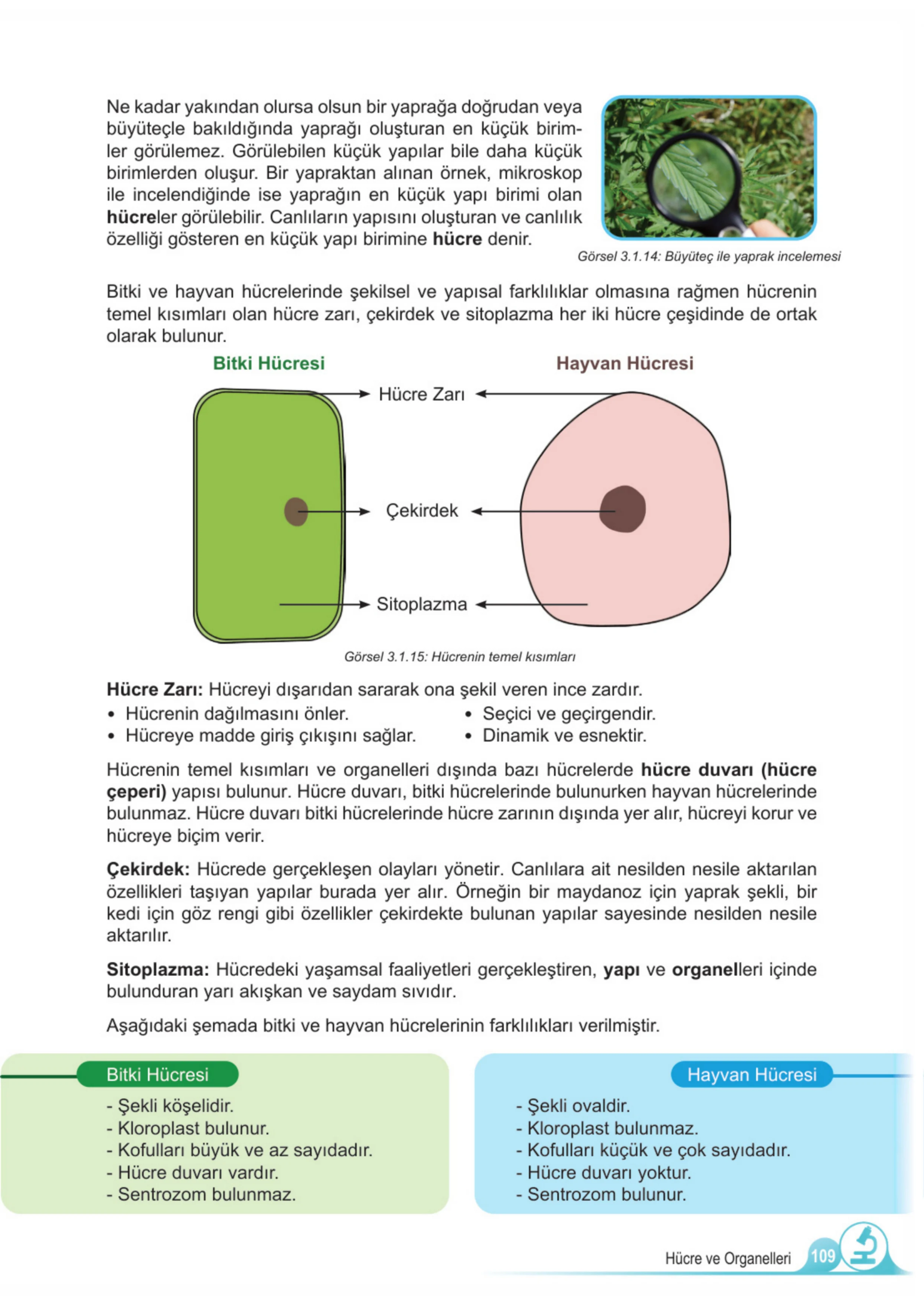 5. Sınıf Fen Bilimleri Ders Kitabı Cevapları Meb Yayınları 1. Kitap Sayfa 109
