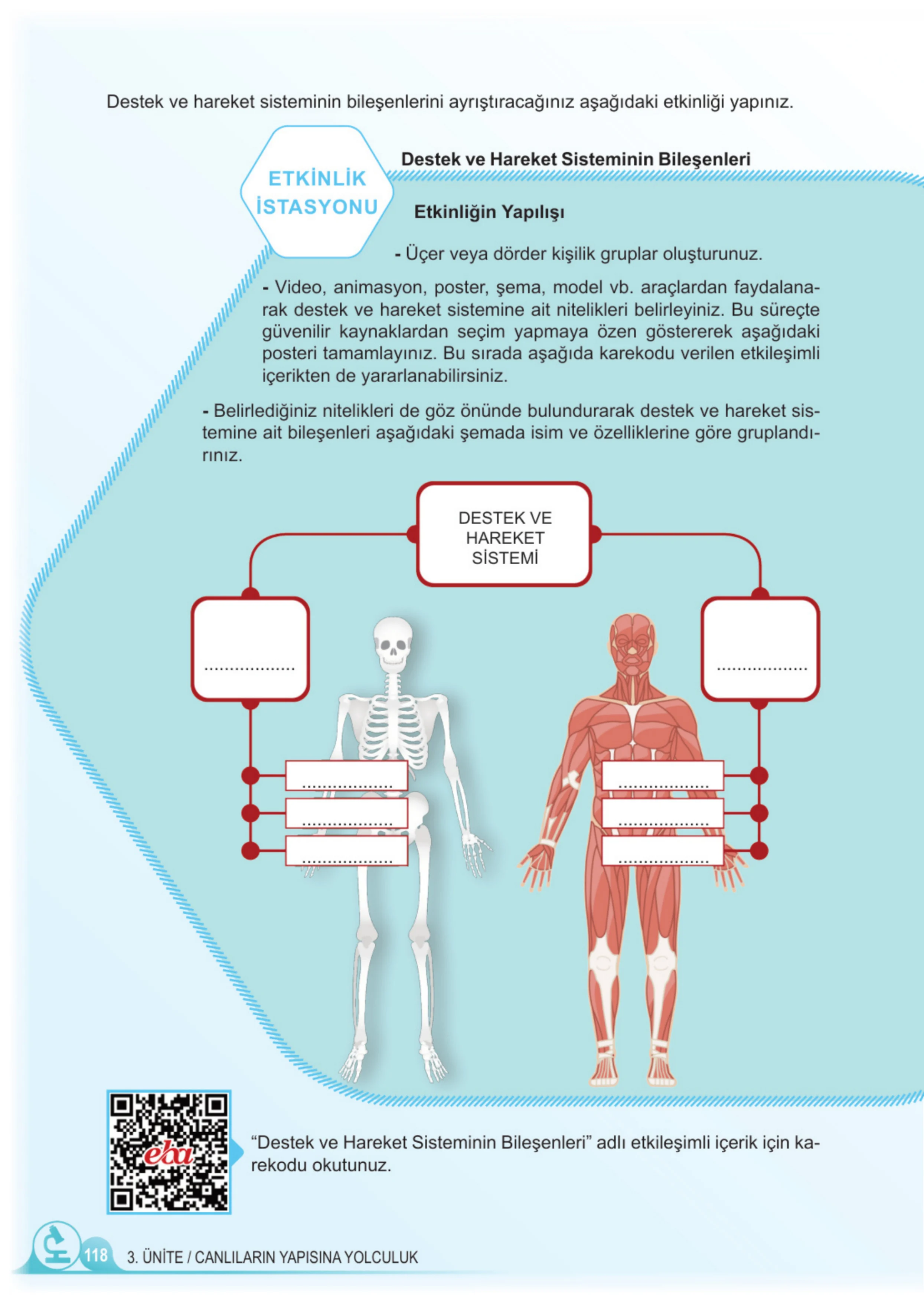 5. Sınıf Fen Bilimleri Ders Kitabı Cevapları Meb Yayınları 1. Kitap Sayfa 118