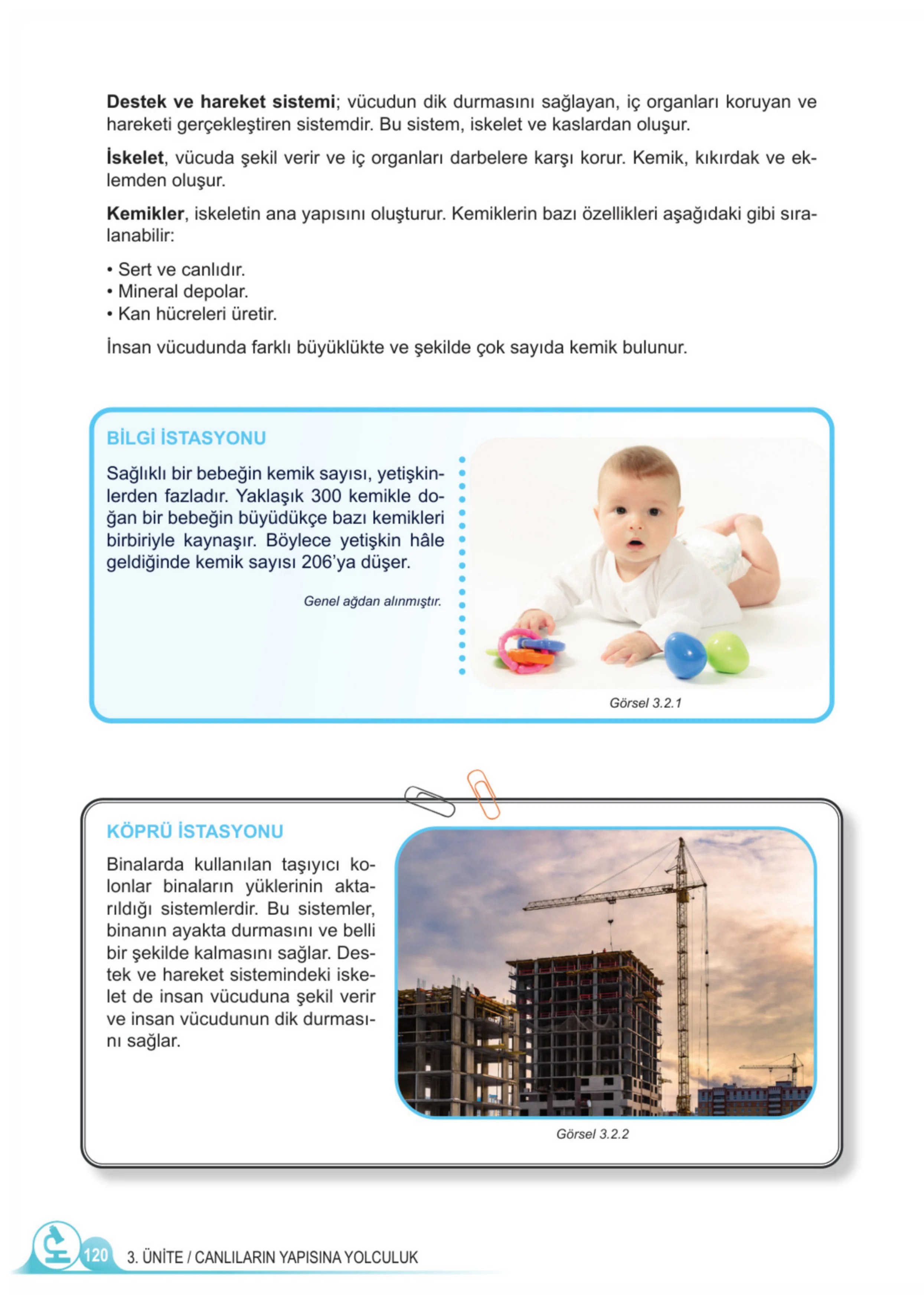 5. Sınıf Fen Bilimleri Ders Kitabı Cevapları Meb Yayınları 1. Kitap Sayfa 120