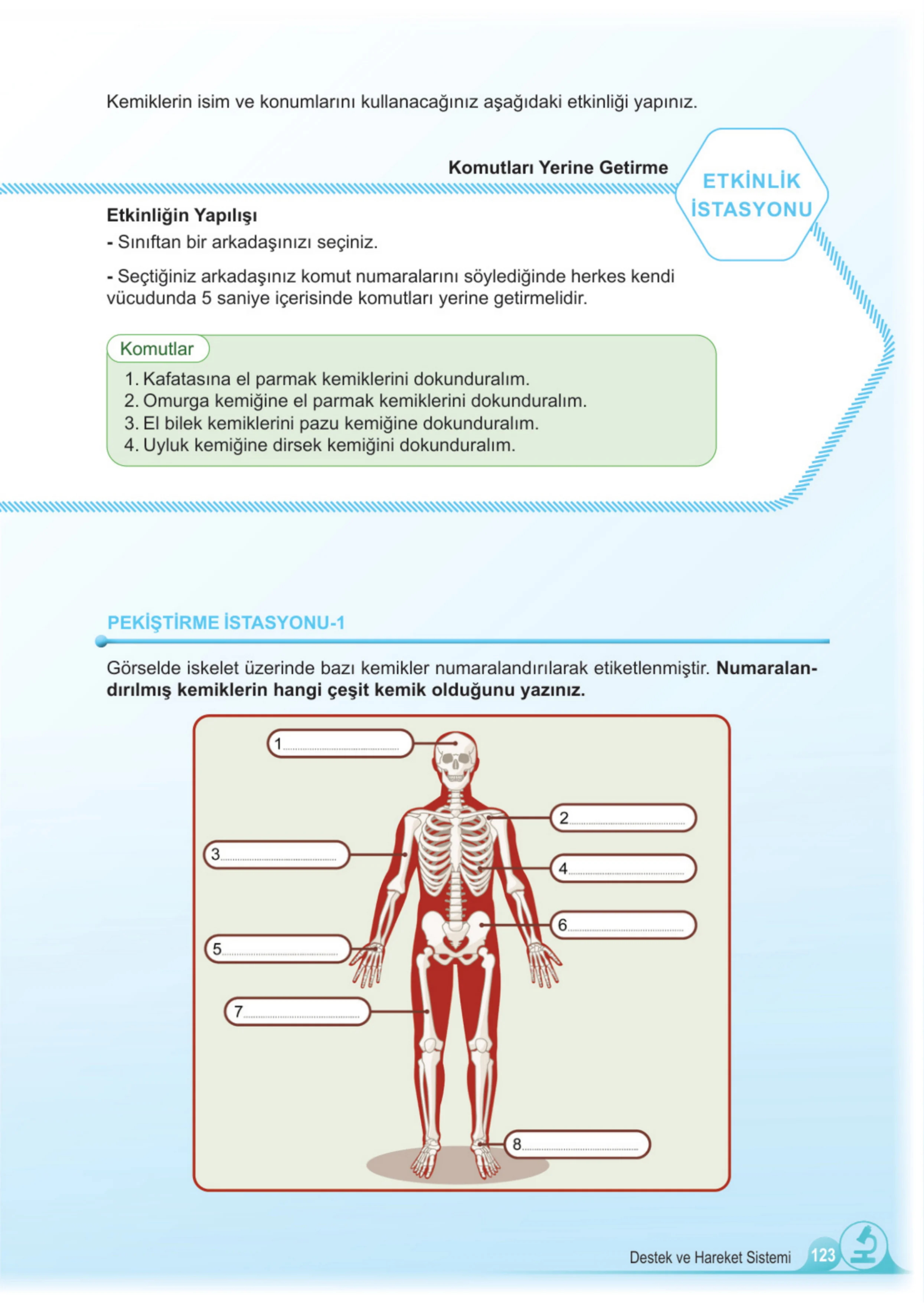 5. Sınıf Fen Bilimleri Ders Kitabı Cevapları Meb Yayınları 1. Kitap Sayfa 123