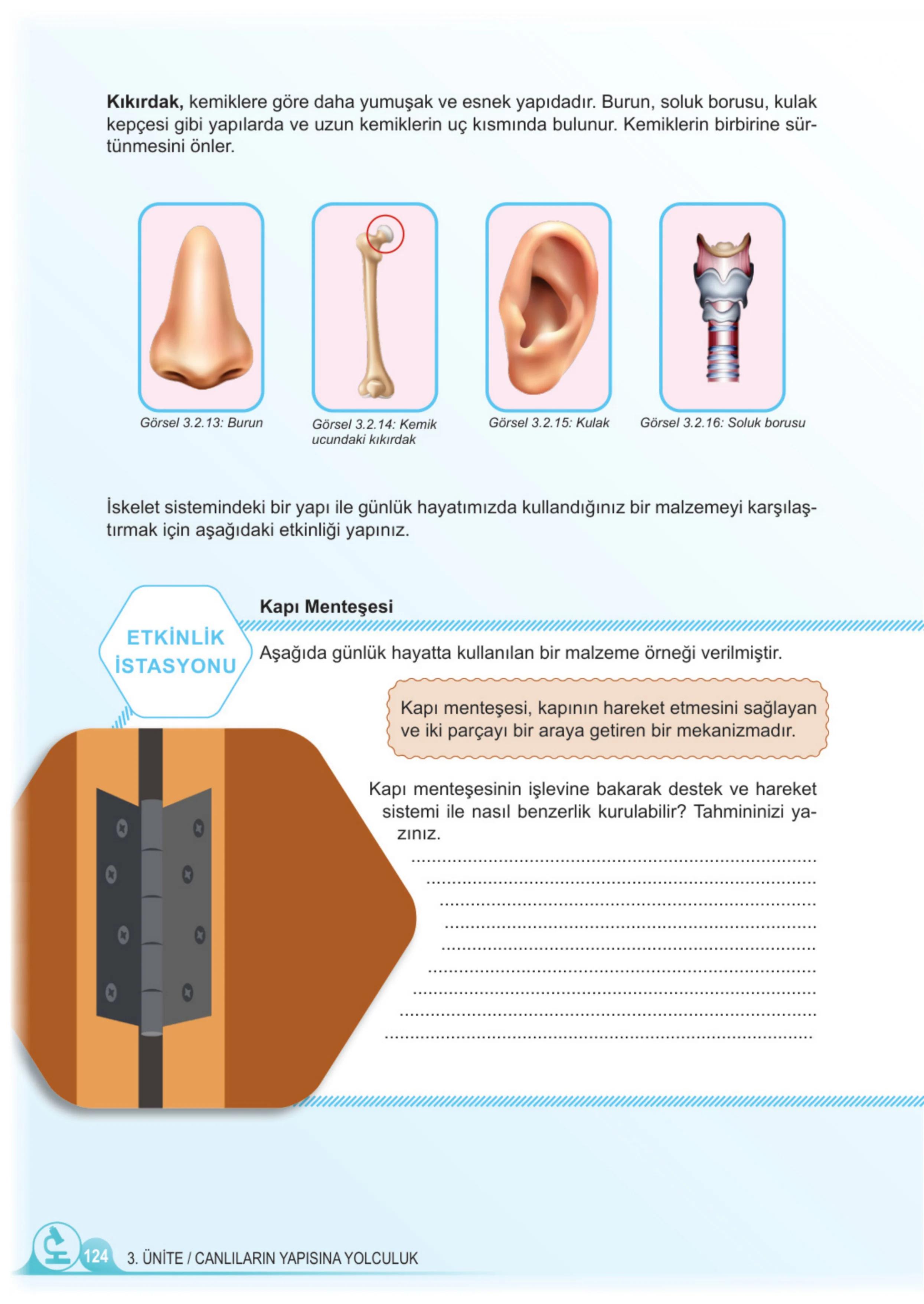 5. Sınıf Fen Bilimleri Ders Kitabı Cevapları Meb Yayınları 1. Kitap Sayfa 124