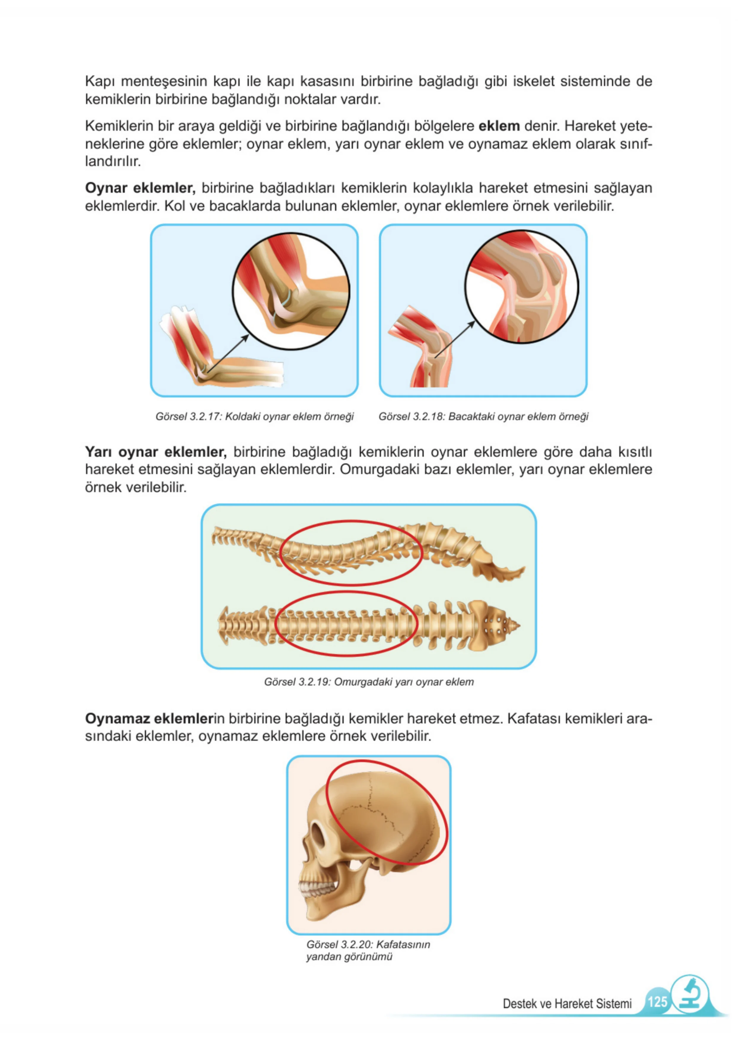 5. Sınıf Fen Bilimleri Ders Kitabı Cevapları Meb Yayınları 1. Kitap Sayfa 125