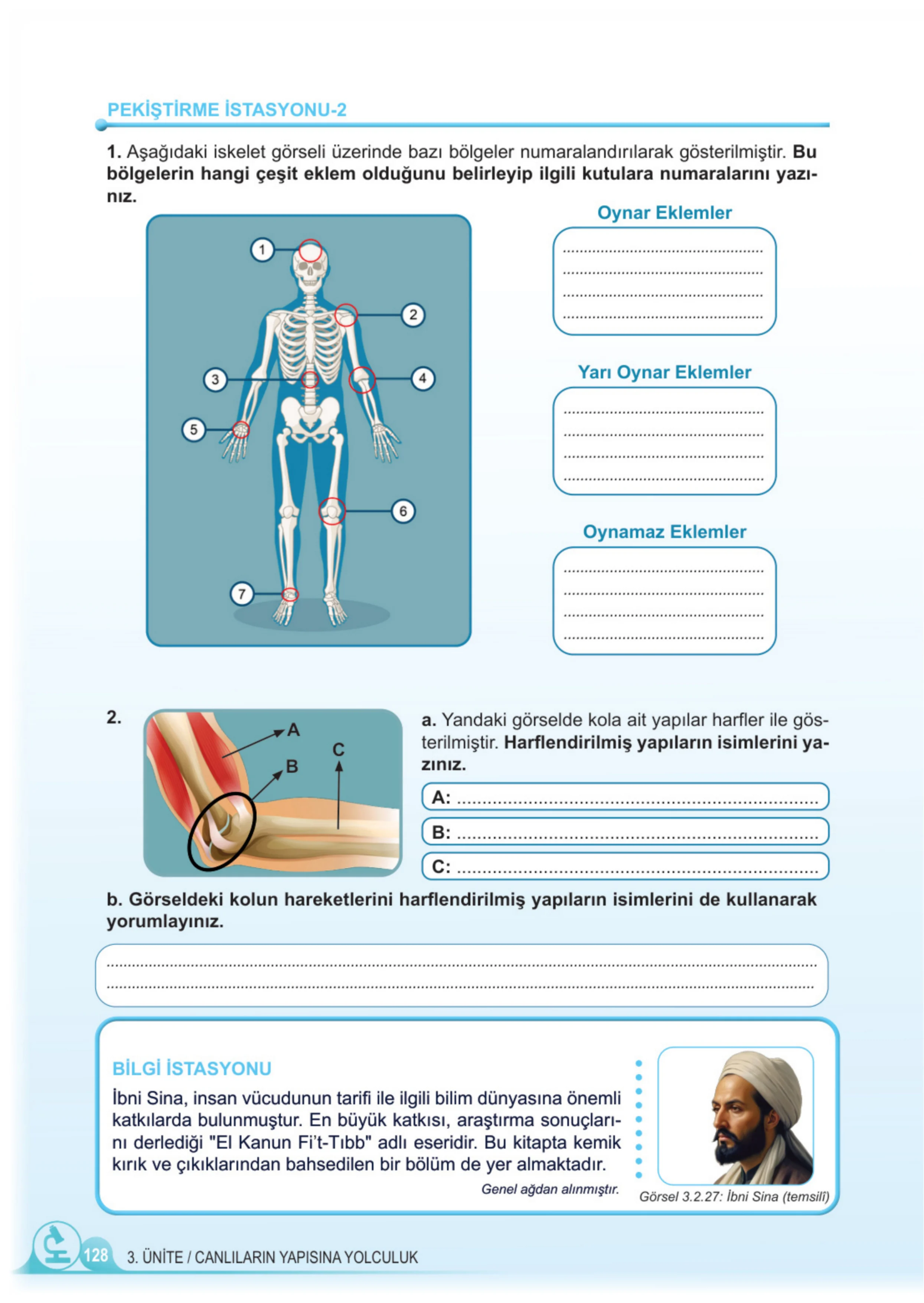5. Sınıf Fen Bilimleri Ders Kitabı Cevapları Meb Yayınları 1. Kitap Sayfa 128