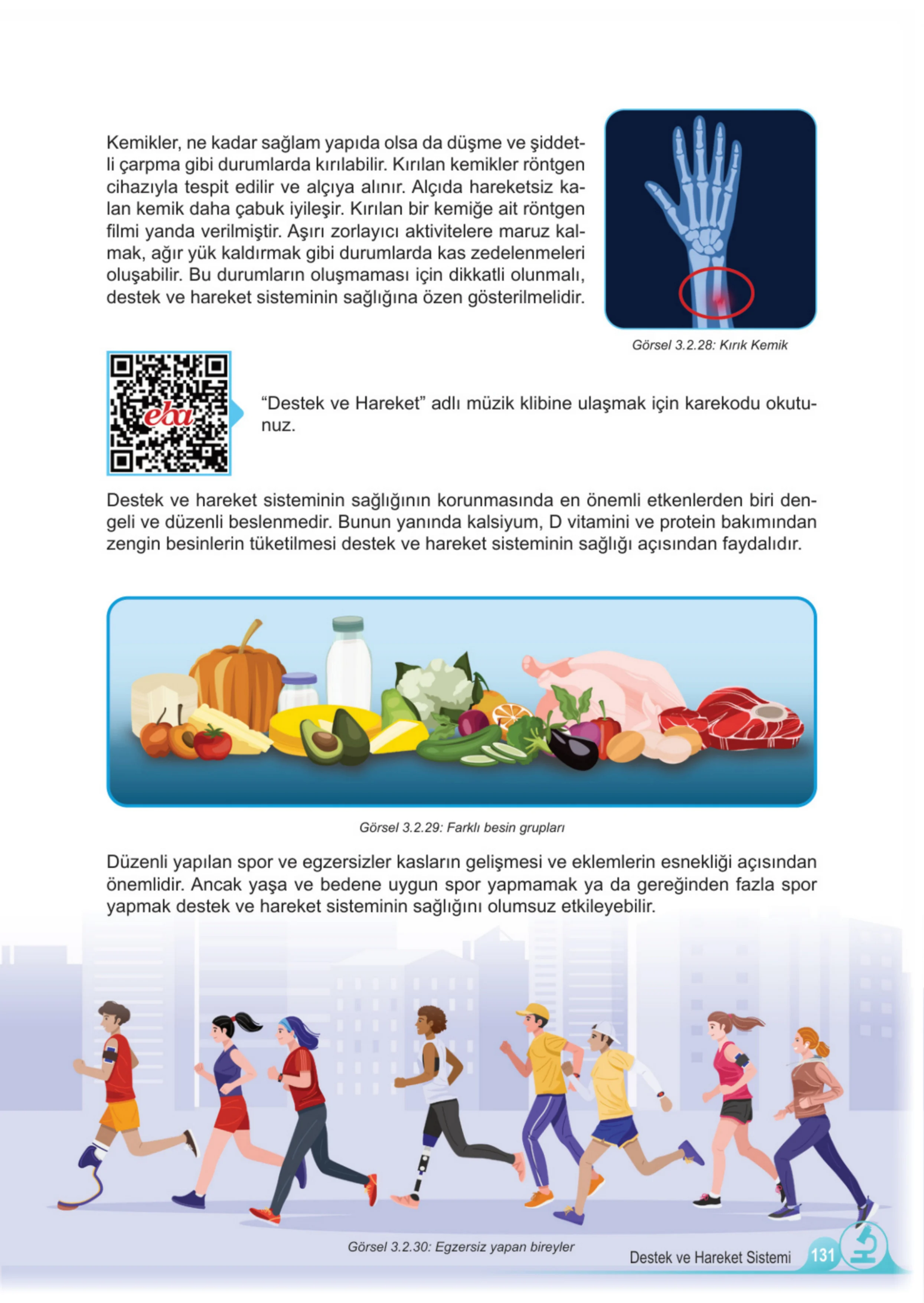 5. Sınıf Fen Bilimleri Ders Kitabı Cevapları Meb Yayınları 1. Kitap Sayfa 131
