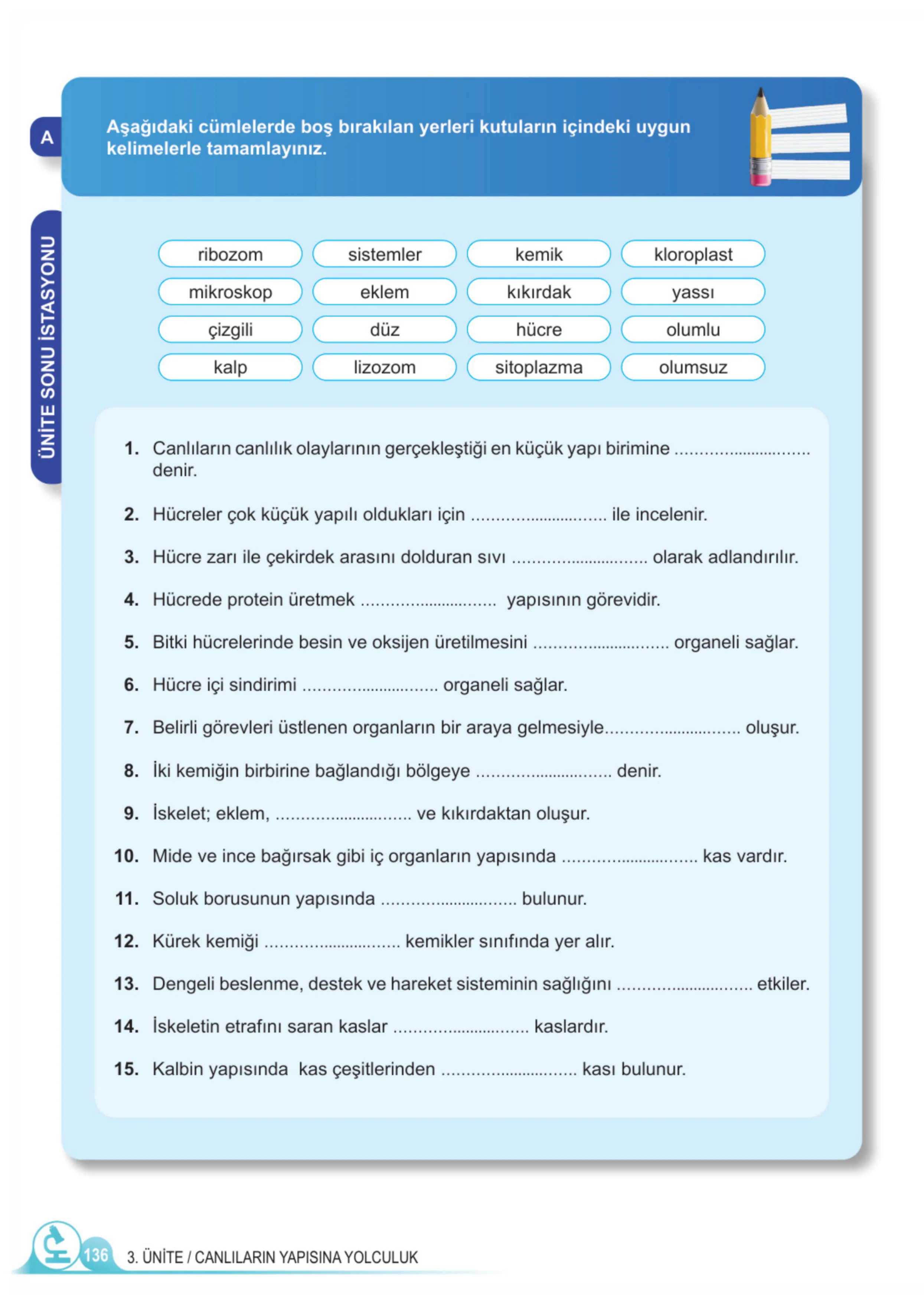 5. Sınıf Fen Bilimleri Ders Kitabı Cevapları Meb Yayınları 1. Kitap Sayfa 136