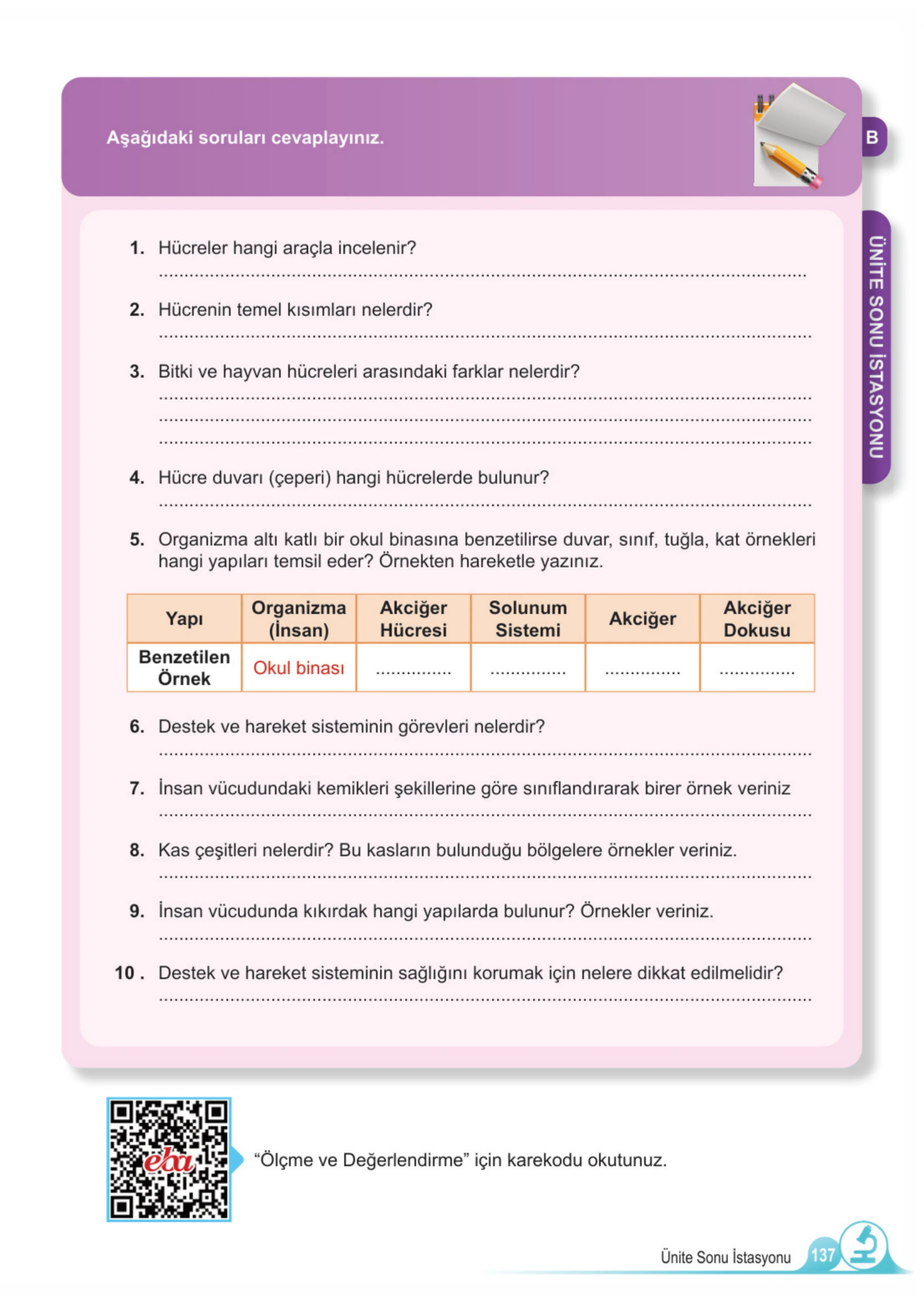 5. Sınıf Fen Bilimleri Ders Kitabı Cevapları Meb Yayınları 1. Kitap Sayfa 137