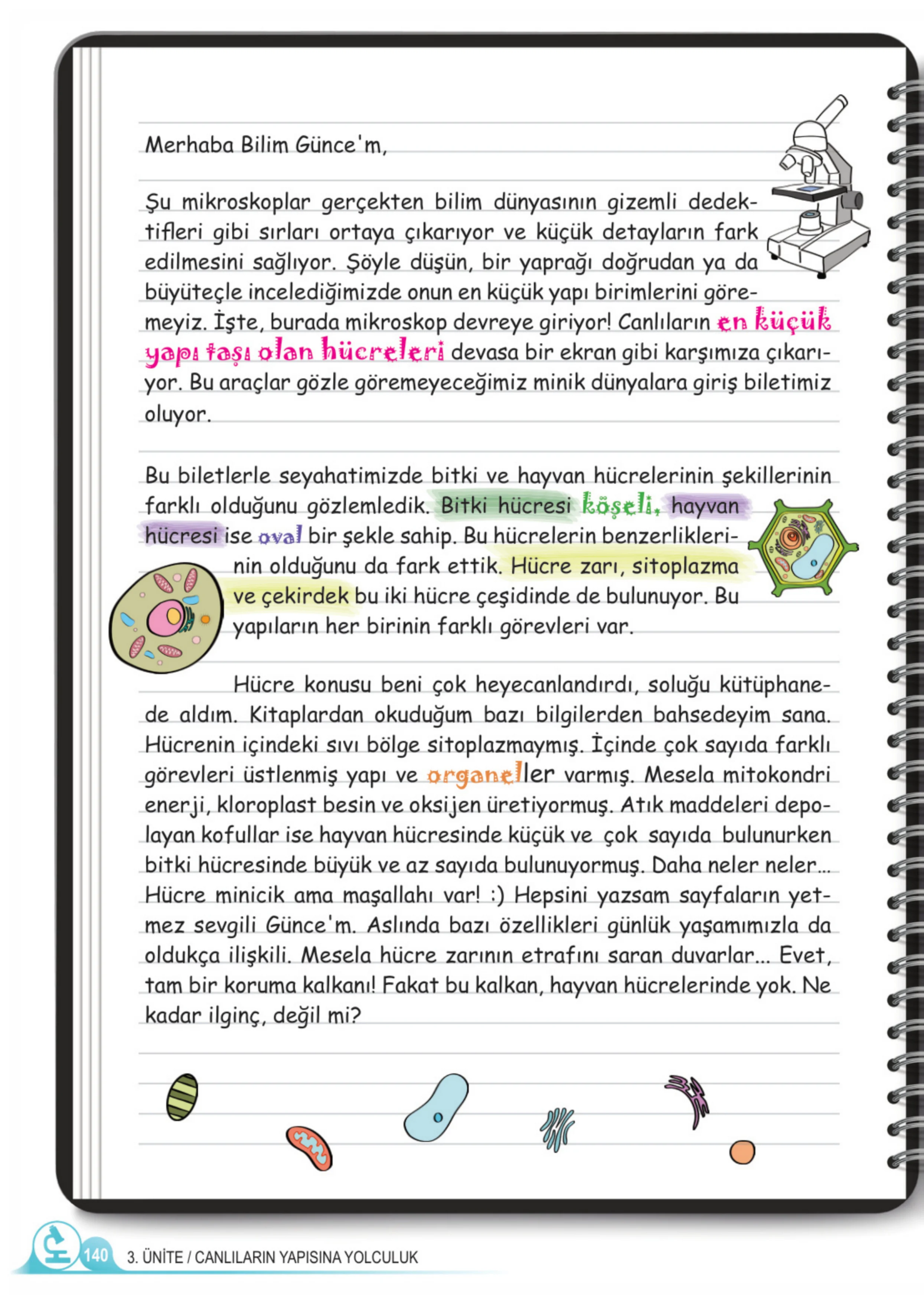 5. Sınıf Fen Bilimleri Ders Kitabı Cevapları Meb Yayınları 1. Kitap Sayfa 140
