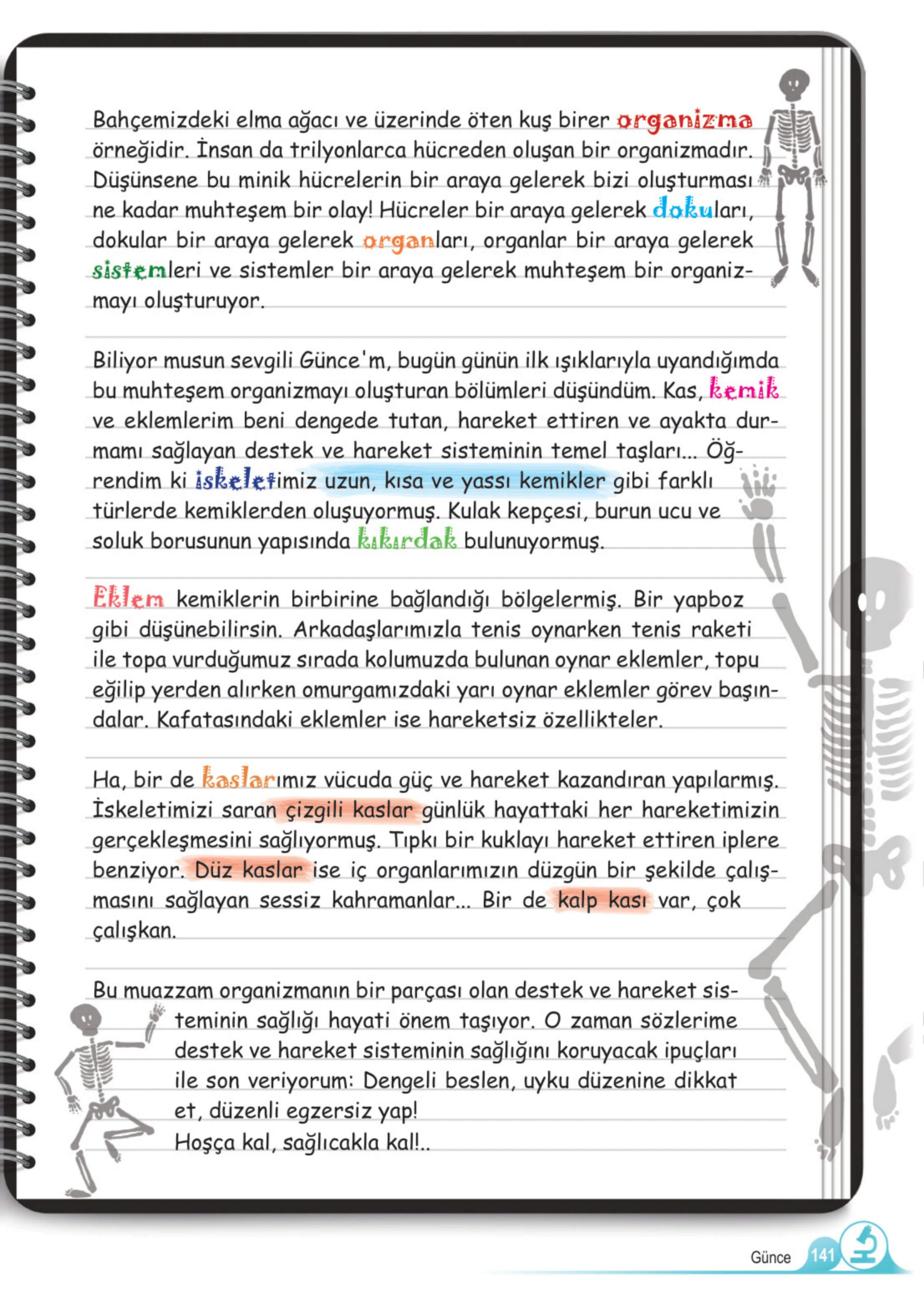 5. Sınıf Fen Bilimleri Ders Kitabı Cevapları Meb Yayınları 1. Kitap Sayfa 141