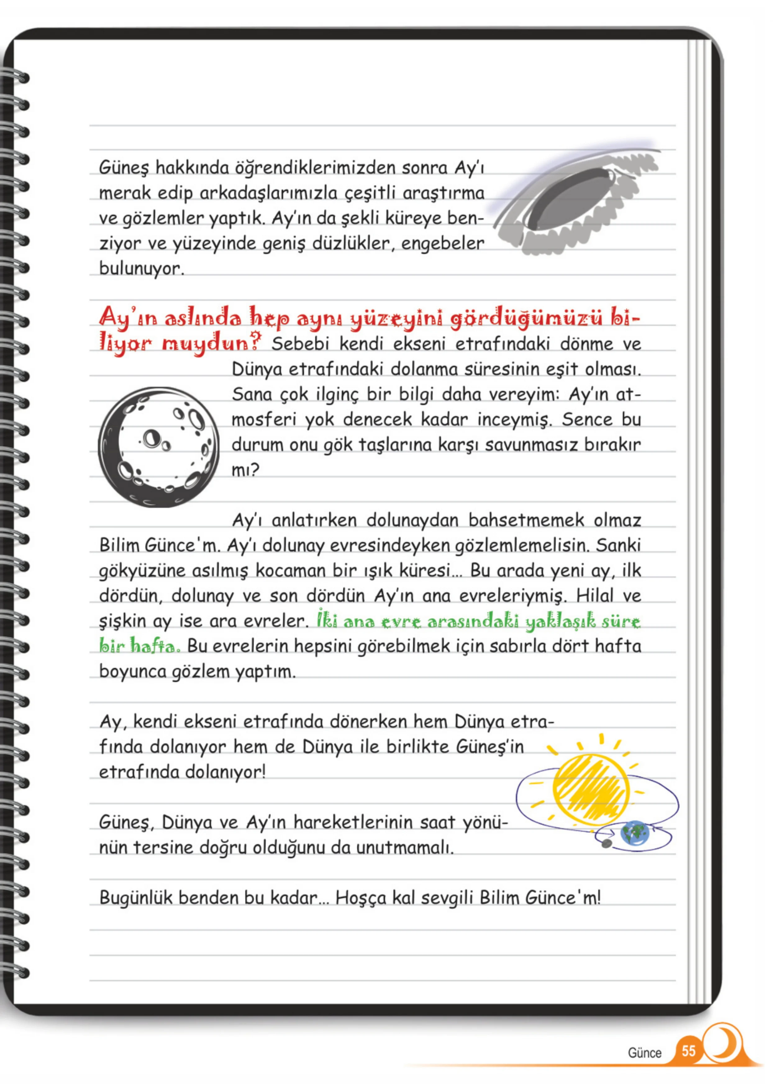 5. Sınıf Fen Bilimleri Ders Kitabı Cevapları Meb Yayınları 1. Kitap Sayfa 55