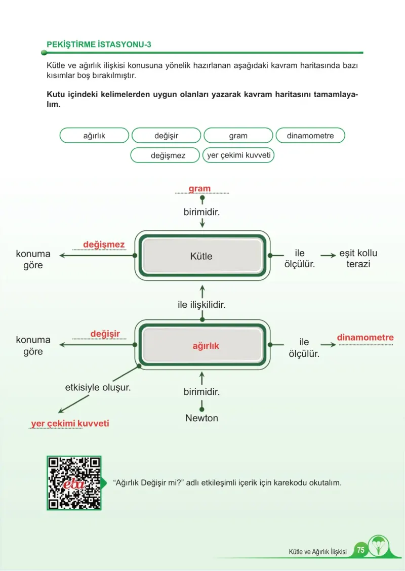 5. Sınıf Fen Bilimleri Ders Kitabı Cevapları Meb Yayınları 1. Kitap Sayfa 75 Çözüm Görseli