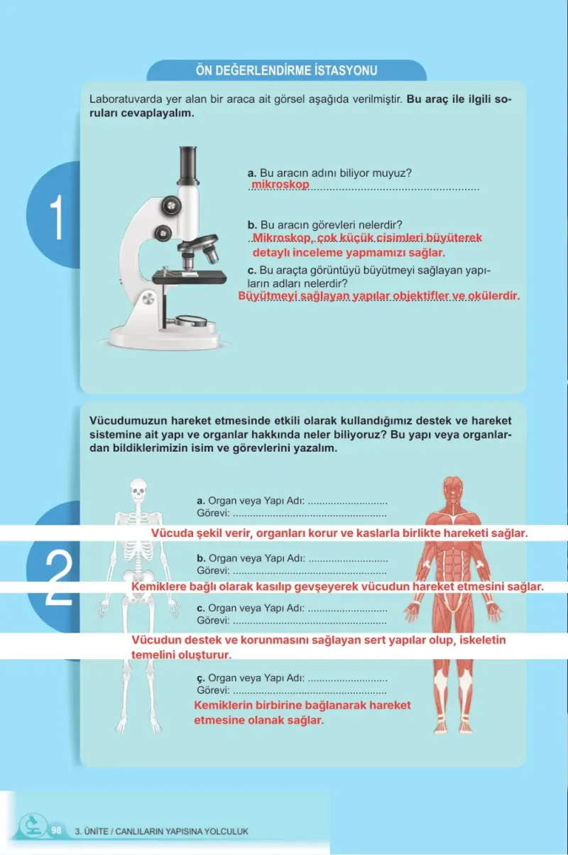 5. Sınıf Fen Bilimleri Ders Kitabı Cevapları Meb Yayınları 1. Kitap Sayfa 98 Çözüm Görseli