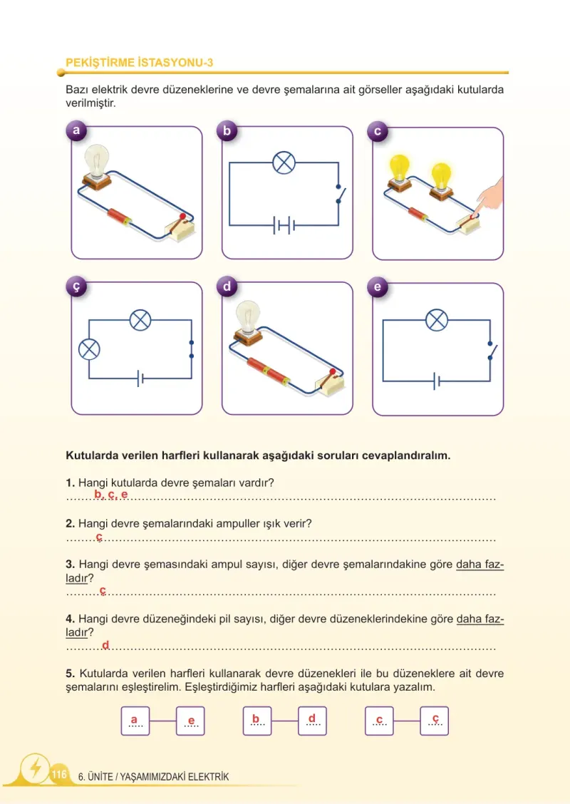 5. Sınıf Fen Bilimleri Ders Kitabı Cevapları Meb Yayınları 2. Kitap Sayfa 116 Çözüm Görseli