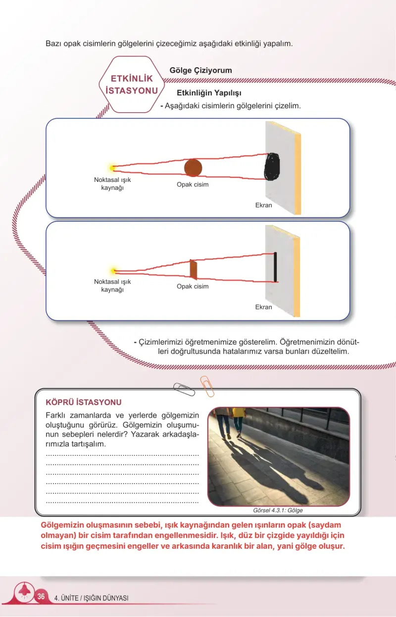 5. Sınıf Fen Bilimleri Ders Kitabı Cevapları Meb Yayınları 2. Kitap Sayfa 36 Çözüm Görseli