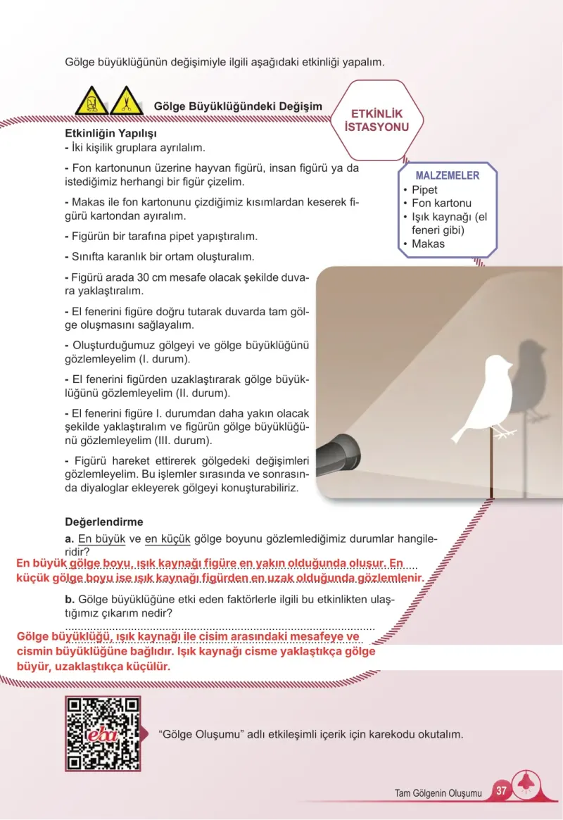 5. Sınıf Fen Bilimleri Ders Kitabı Cevapları Meb Yayınları 2. Kitap Sayfa 37 Çözüm Görseli