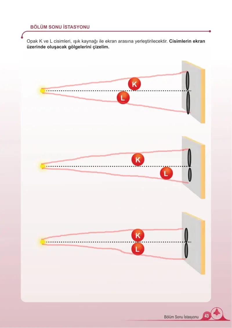 5. Sınıf Fen Bilimleri Ders Kitabı Cevapları Meb Yayınları 2. Kitap Sayfa 43 Çözüm Görseli