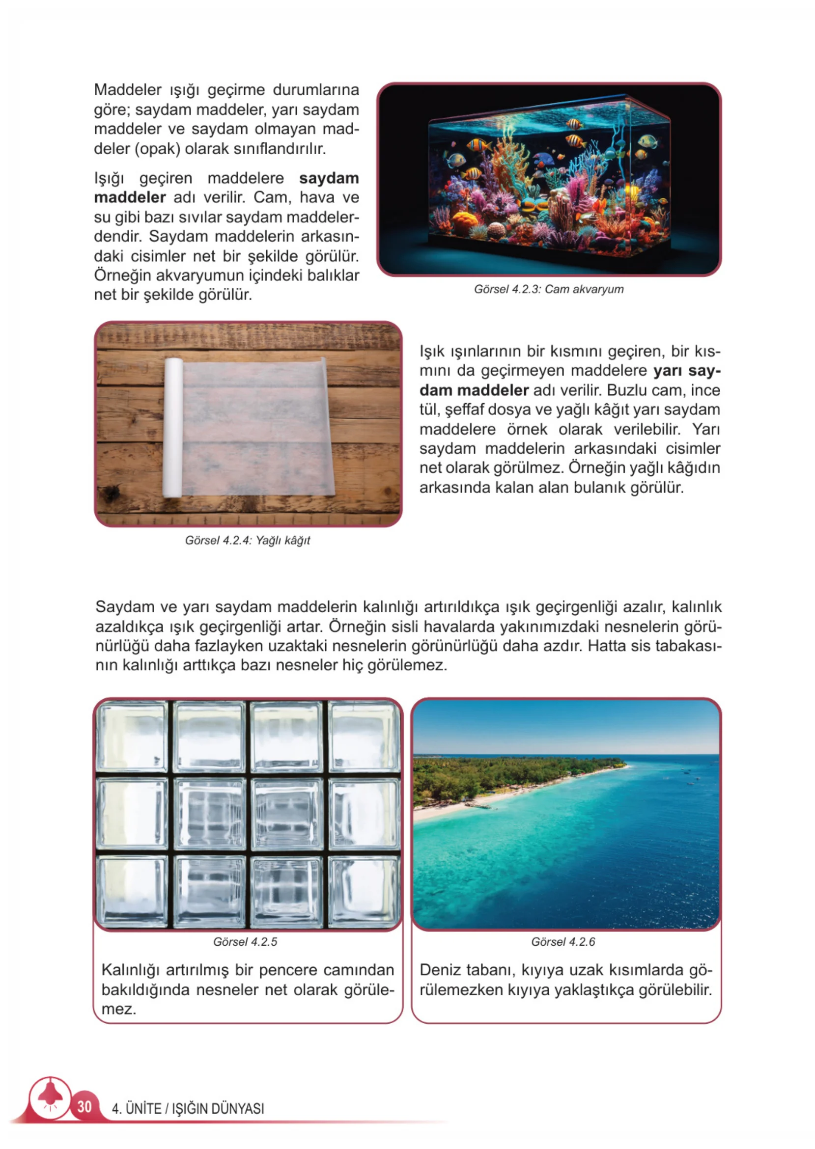 5. Sınıf Fen Bilimleri Ders Kitabı Cevapları Meb Yayınları 2. Kitap Sayfa 30