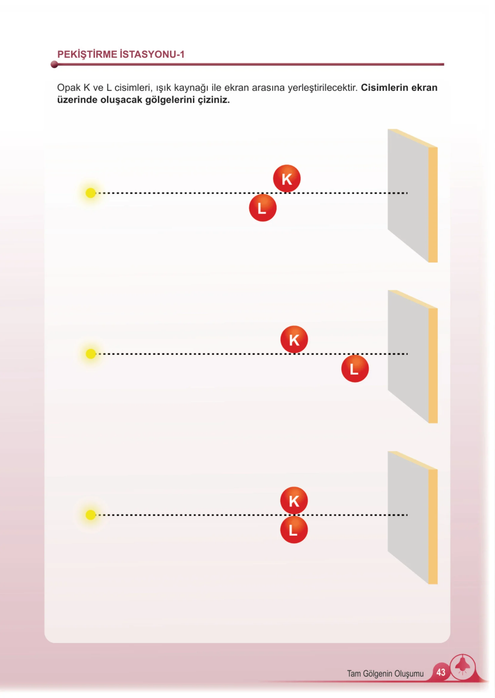5. Sınıf Fen Bilimleri Ders Kitabı Cevapları Meb Yayınları 2. Kitap Sayfa 43