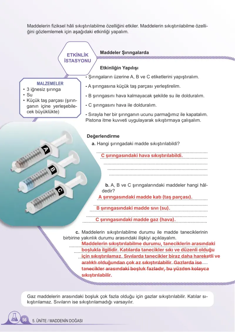 5. Sınıf Fen Bilimleri Ders Kitabı Cevapları Meb Yayınları 2. Kitap Sayfa 56 Çözüm Görseli