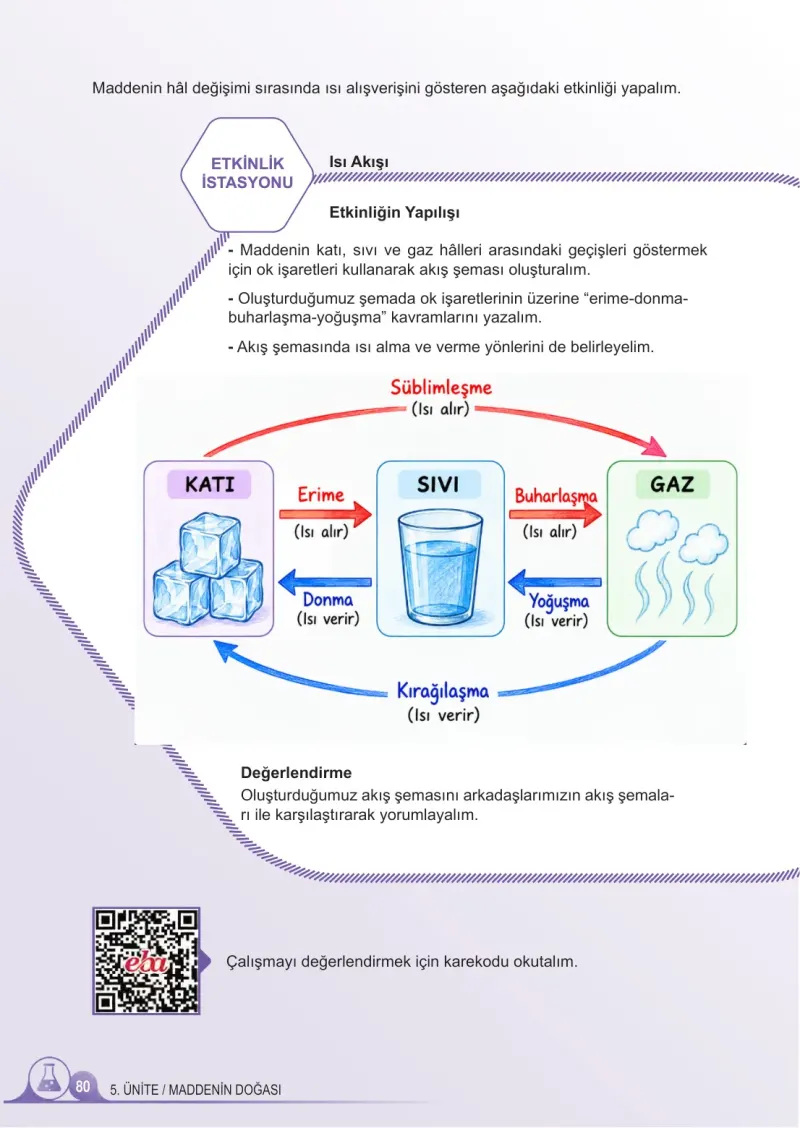 5. Sınıf Fen Bilimleri Ders Kitabı Cevapları Meb Yayınları 2. Kitap Sayfa 80 Çözüm Görseli