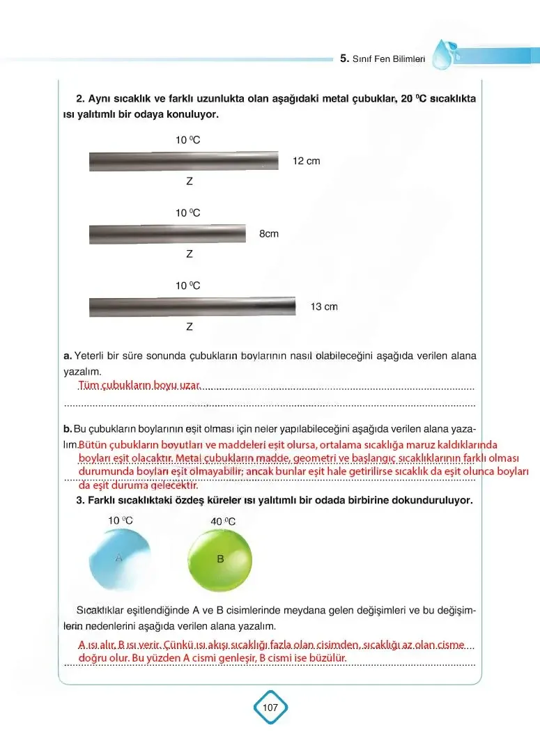 5. Sınıf Fen Bilimleri Ders Kitabı Cevapları SDR Dİkey Yayınları Sayfa 107 Çözüm Görseli