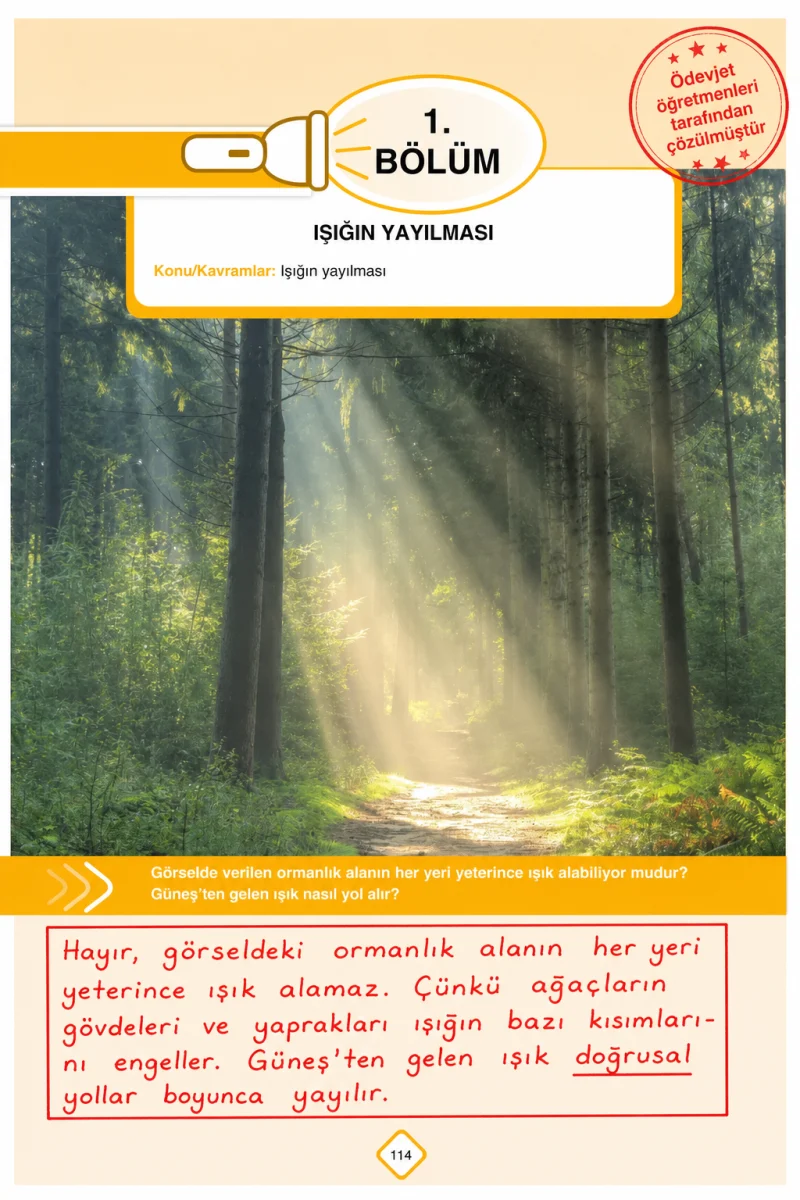 5. Sınıf Fen Bilimleri Ders Kitabı Cevapları SDR Dİkey Yayınları Sayfa 114 Çözüm Görseli
