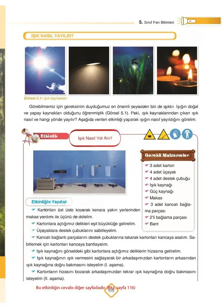 5. Sınıf Fen Bilimleri Ders Kitabı Cevapları SDR Dİkey Yayınları Sayfa 115 Çözüm Görseli