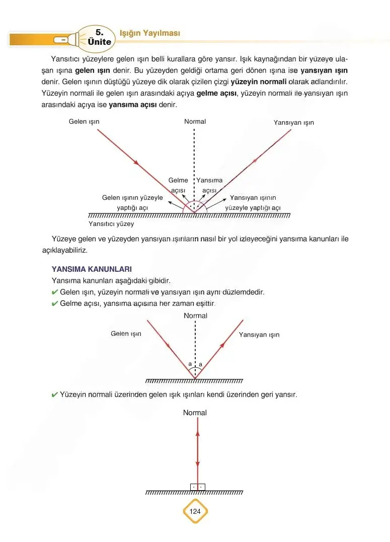 5. Sınıf Fen Bilimleri Ders Kitabı Cevapları SDR Dİkey Yayınları Sayfa 124 Çözüm Görseli