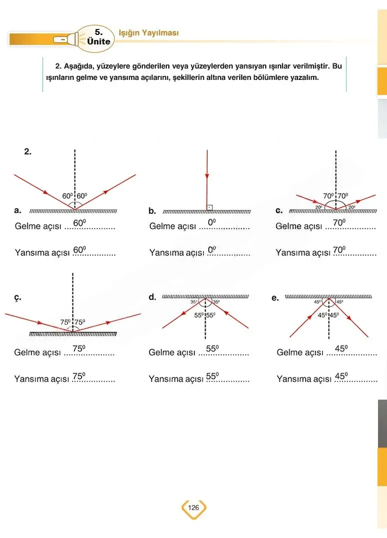 5. Sınıf Fen Bilimleri Ders Kitabı Cevapları SDR Dİkey Yayınları Sayfa 126 Çözüm Görseli