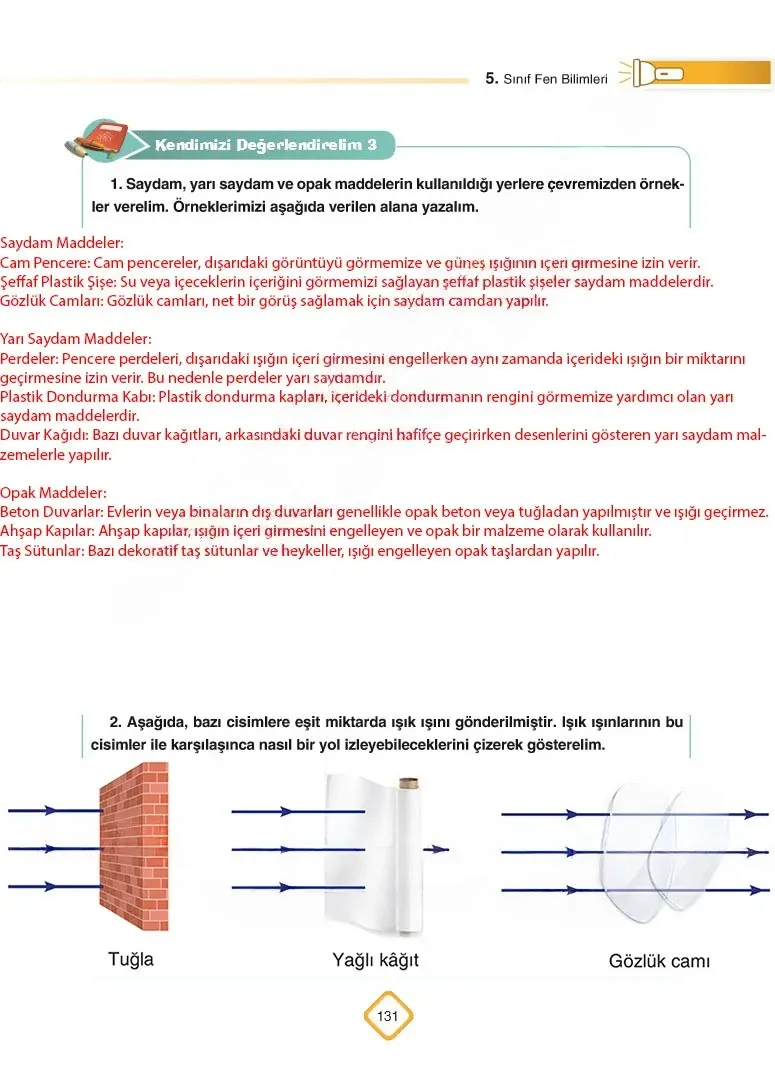 5. Sınıf Fen Bilimleri Ders Kitabı Cevapları SDR Dİkey Yayınları Sayfa 131 Çözüm Görseli