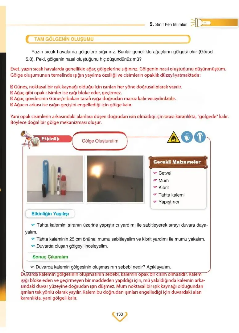 5. Sınıf Fen Bilimleri Ders Kitabı Cevapları SDR Dİkey Yayınları Sayfa 133 Çözüm Görseli