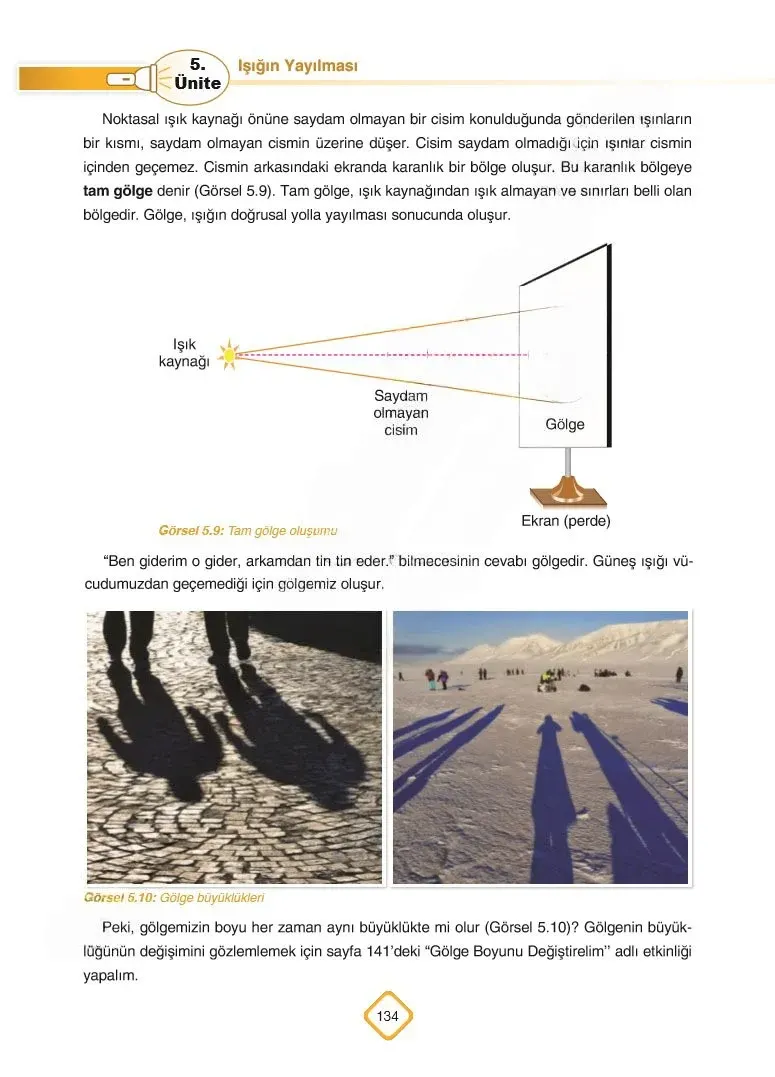 5. Sınıf Fen Bilimleri Ders Kitabı Cevapları SDR Dİkey Yayınları Sayfa 134 Çözüm Görseli