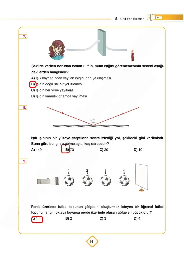 5. Sınıf Fen Bilimleri Ders Kitabı Cevapları SDR Dİkey Yayınları Sayfa 141 Çözüm Görseli