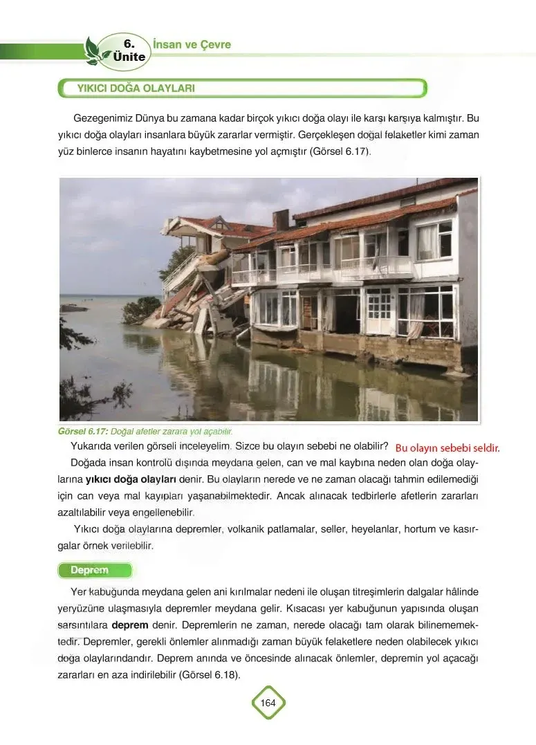 5. Sınıf Fen Bilimleri Ders Kitabı Cevapları SDR Dİkey Yayınları Sayfa 164 Çözüm Görseli
