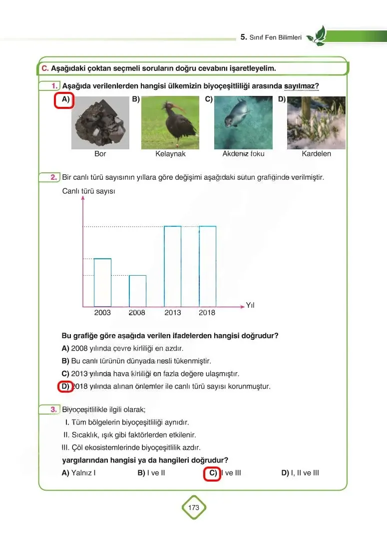 5. Sınıf Fen Bilimleri Ders Kitabı Cevapları SDR Dİkey Yayınları Sayfa 173 Çözüm Görseli