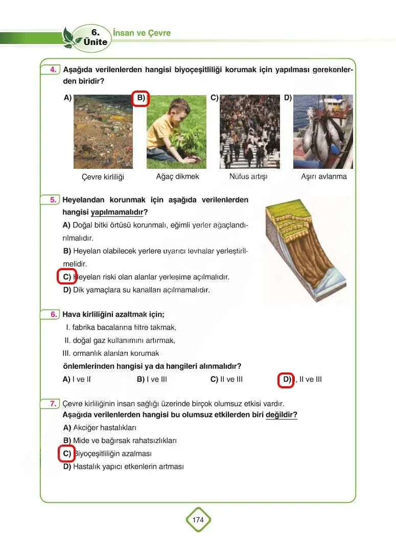5. Sınıf Fen Bilimleri Ders Kitabı Cevapları SDR Dİkey Yayınları Sayfa 174 Çözüm Görseli