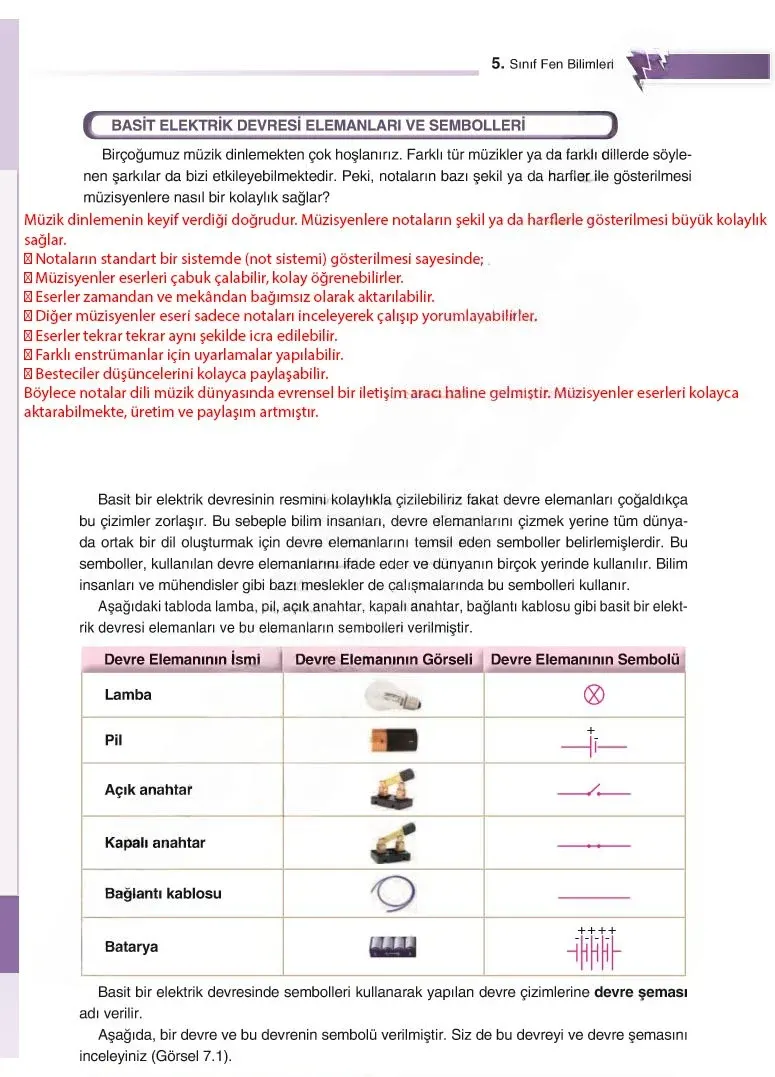 5. Sınıf Fen Bilimleri Ders Kitabı Cevapları SDR Dİkey Yayınları Sayfa 177 Çözüm Görseli