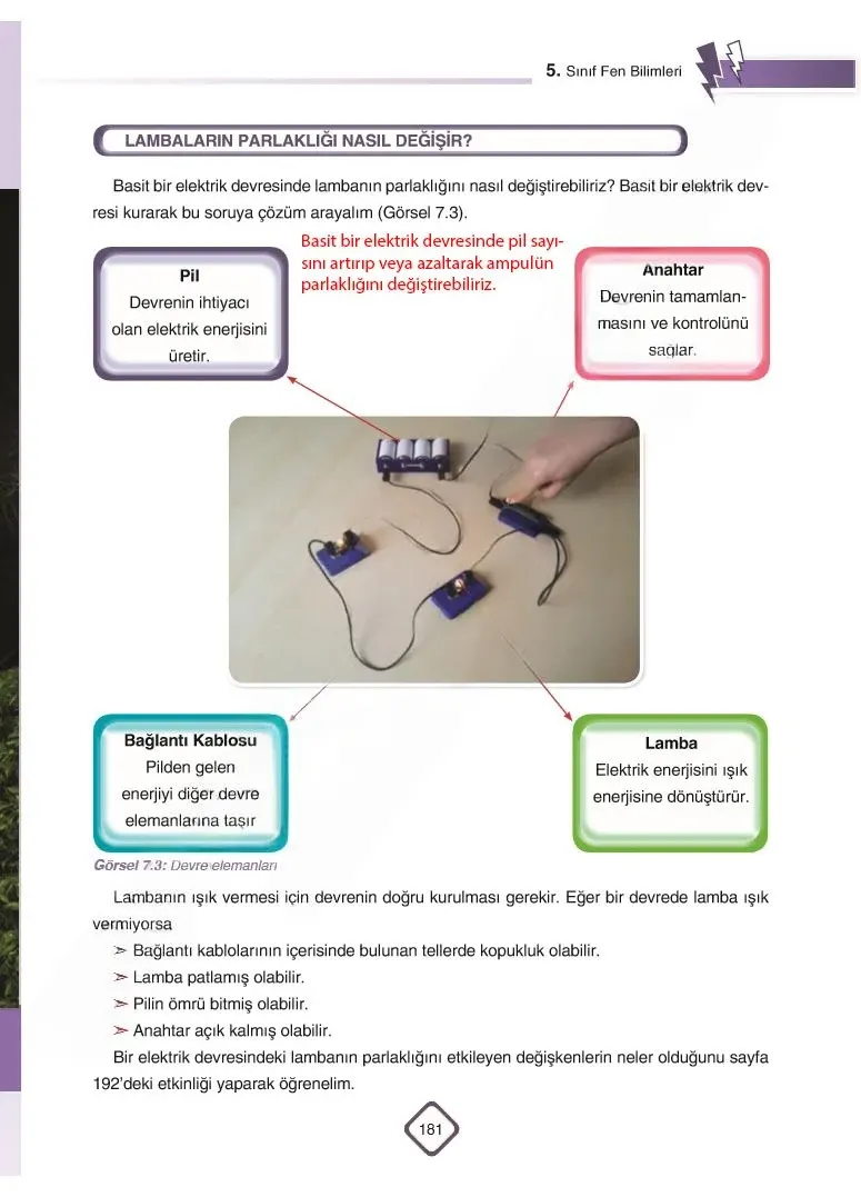 5. Sınıf Fen Bilimleri Ders Kitabı Cevapları SDR Dİkey Yayınları Sayfa 181 Çözüm Görseli