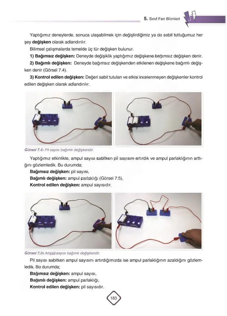 5. Sınıf Fen Bilimleri Ders Kitabı Cevapları SDR Dİkey Yayınları Sayfa 183 Çözüm Görseli
