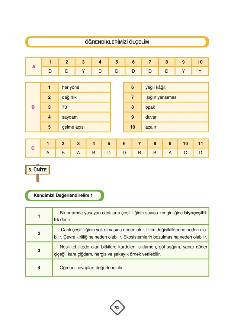 5. Sınıf Fen Bilimleri Ders Kitabı Cevapları SDR Dİkey Yayınları Sayfa 205 Çözüm Görseli