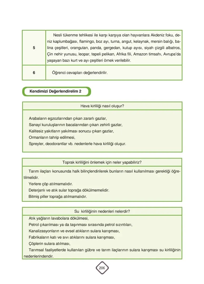 5. Sınıf Fen Bilimleri Ders Kitabı Cevapları SDR Dİkey Yayınları Sayfa 206 Çözüm Görseli