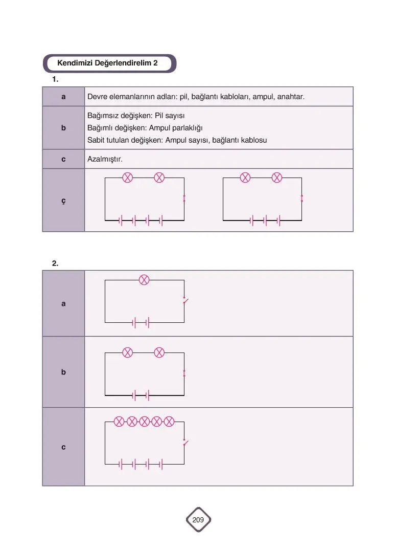 5. Sınıf Fen Bilimleri Ders Kitabı Cevapları SDR Dİkey Yayınları Sayfa 209 Çözüm Görseli