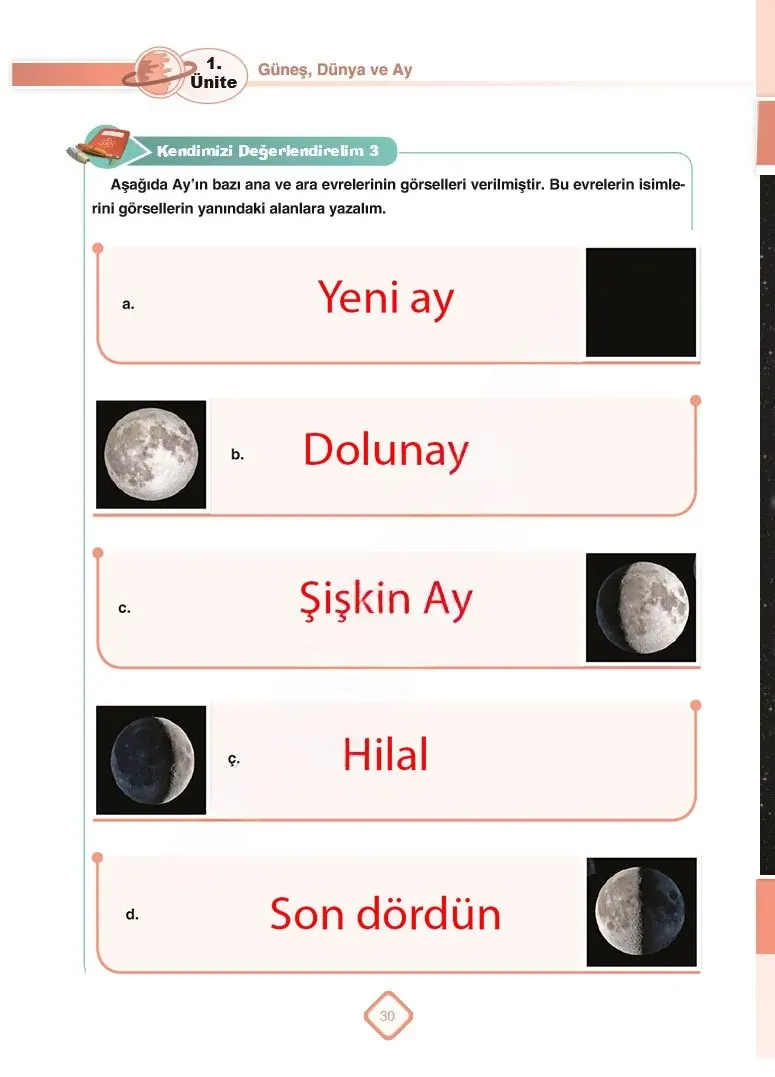 5. Sınıf Fen Bilimleri Ders Kitabı Cevapları SDR Dİkey Yayınları Sayfa 30 Çözüm Görseli