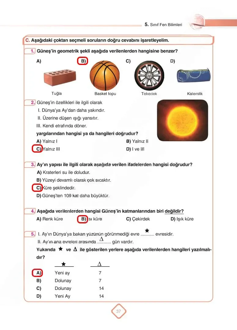 5. Sınıf Fen Bilimleri Ders Kitabı Cevapları SDR Dİkey Yayınları Sayfa 37 Çözüm Görseli