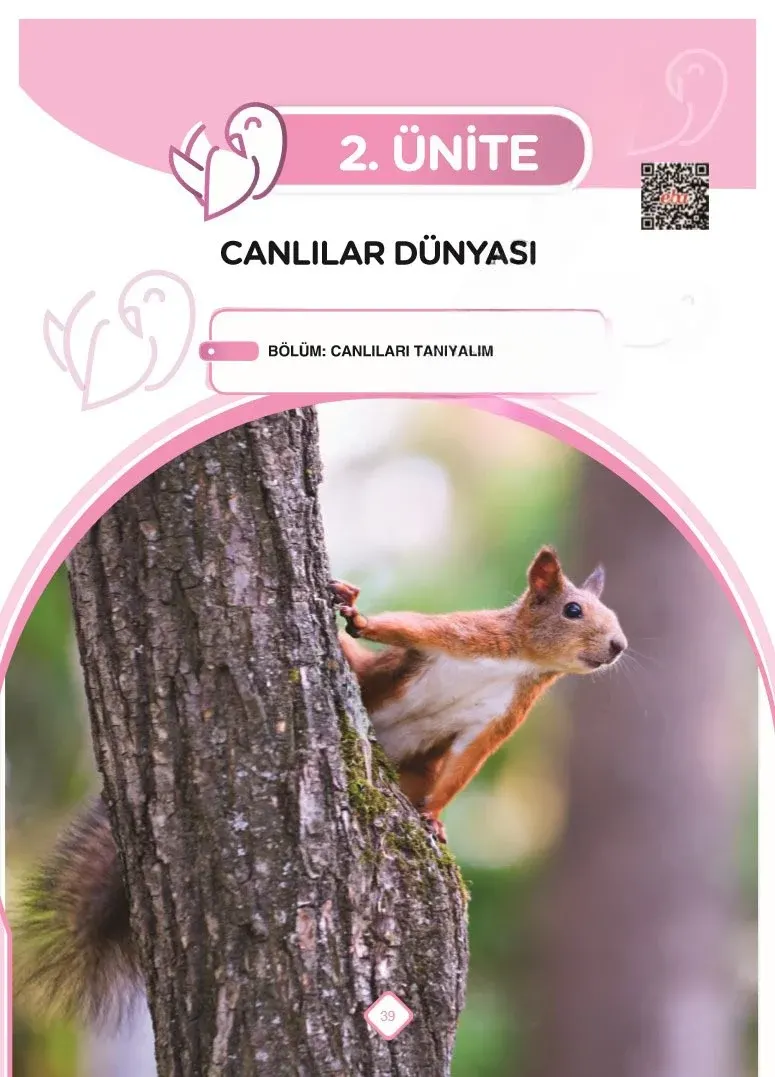 5. Sınıf Fen Bilimleri Ders Kitabı Cevapları SDR Dİkey Yayınları Sayfa 39 Çözüm Görseli