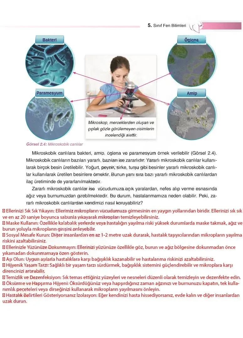 5. Sınıf Fen Bilimleri Ders Kitabı Cevapları SDR Dİkey Yayınları Sayfa 43 Çözüm Görseli