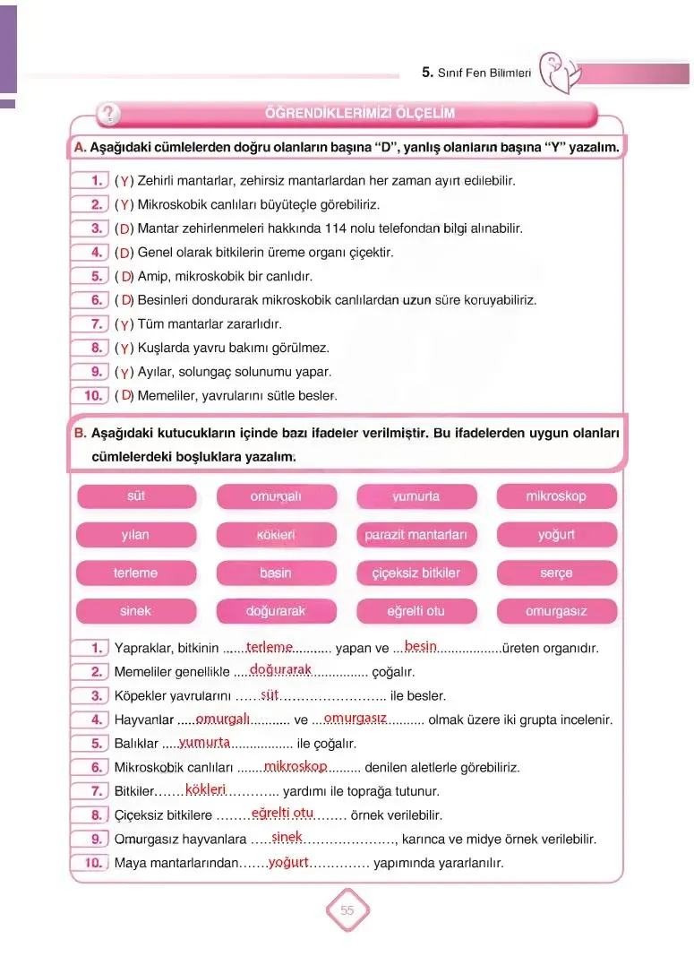 5. Sınıf Fen Bilimleri Ders Kitabı Cevapları SDR Dİkey Yayınları Sayfa 55 Çözüm Görseli