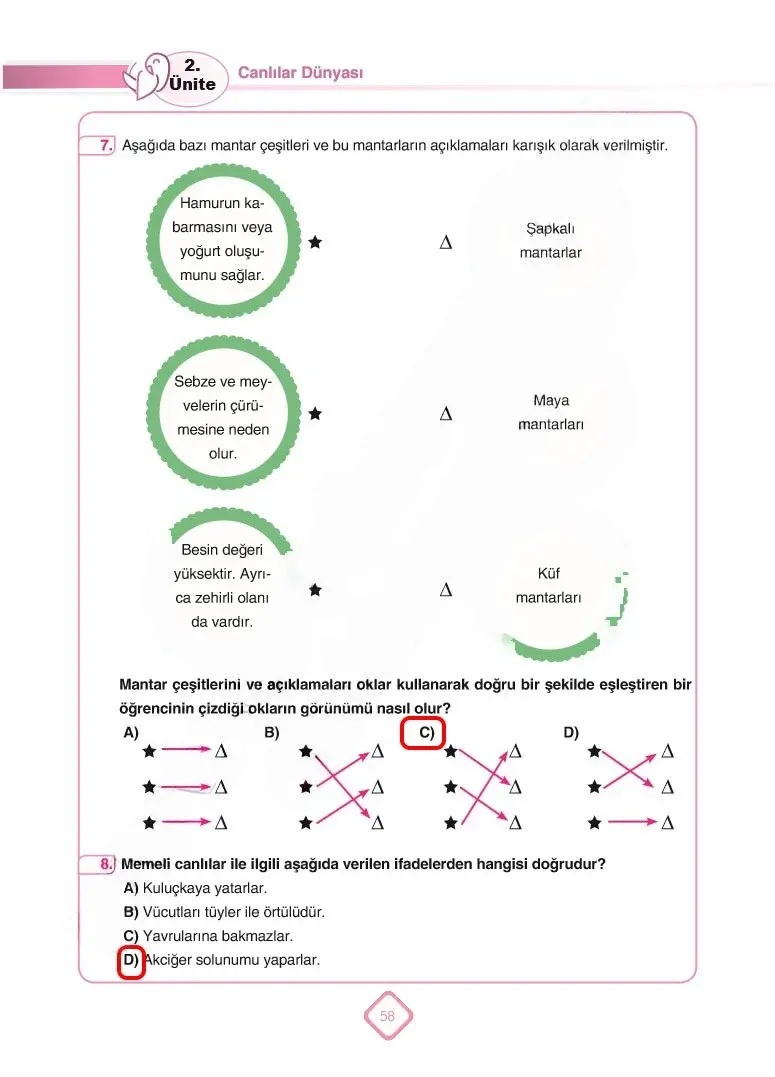 5. Sınıf Fen Bilimleri Ders Kitabı Cevapları SDR Dİkey Yayınları Sayfa 58 Çözüm Görseli