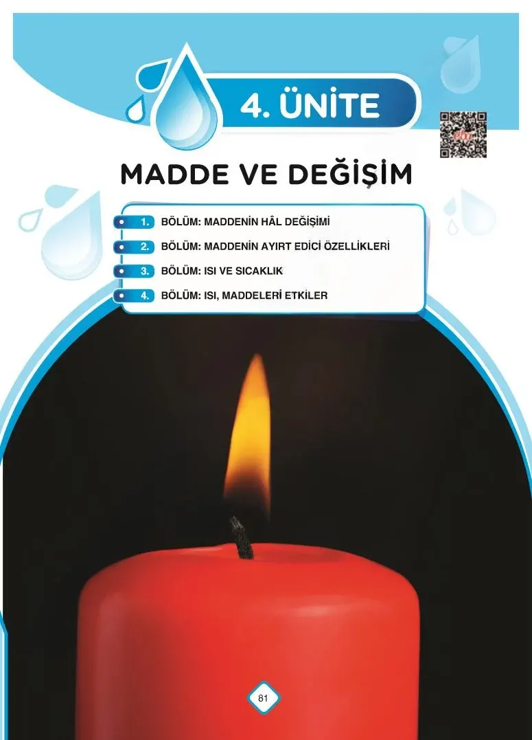 5. Sınıf Fen Bilimleri Ders Kitabı Cevapları SDR Dİkey Yayınları Sayfa 81 Çözüm Görseli