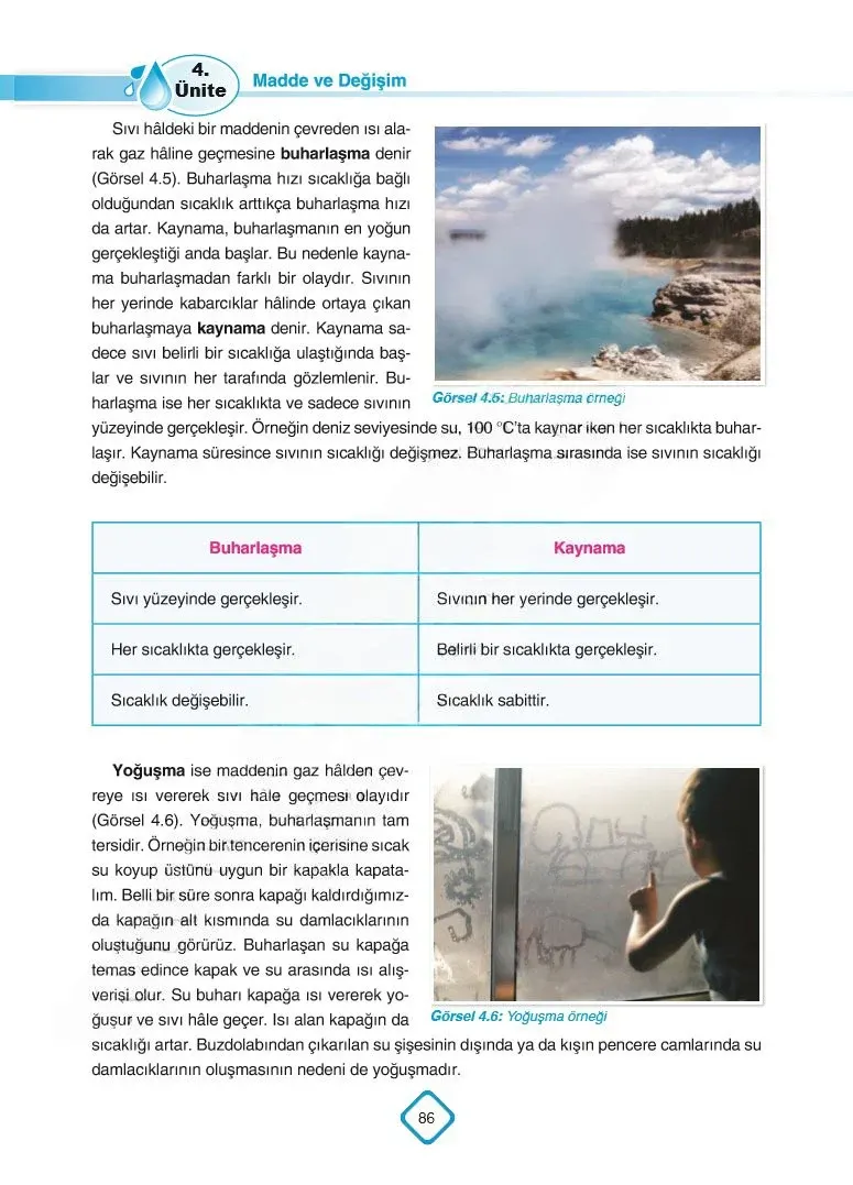 5. Sınıf Fen Bilimleri Ders Kitabı Cevapları SDR Dİkey Yayınları Sayfa 86 Çözüm Görseli